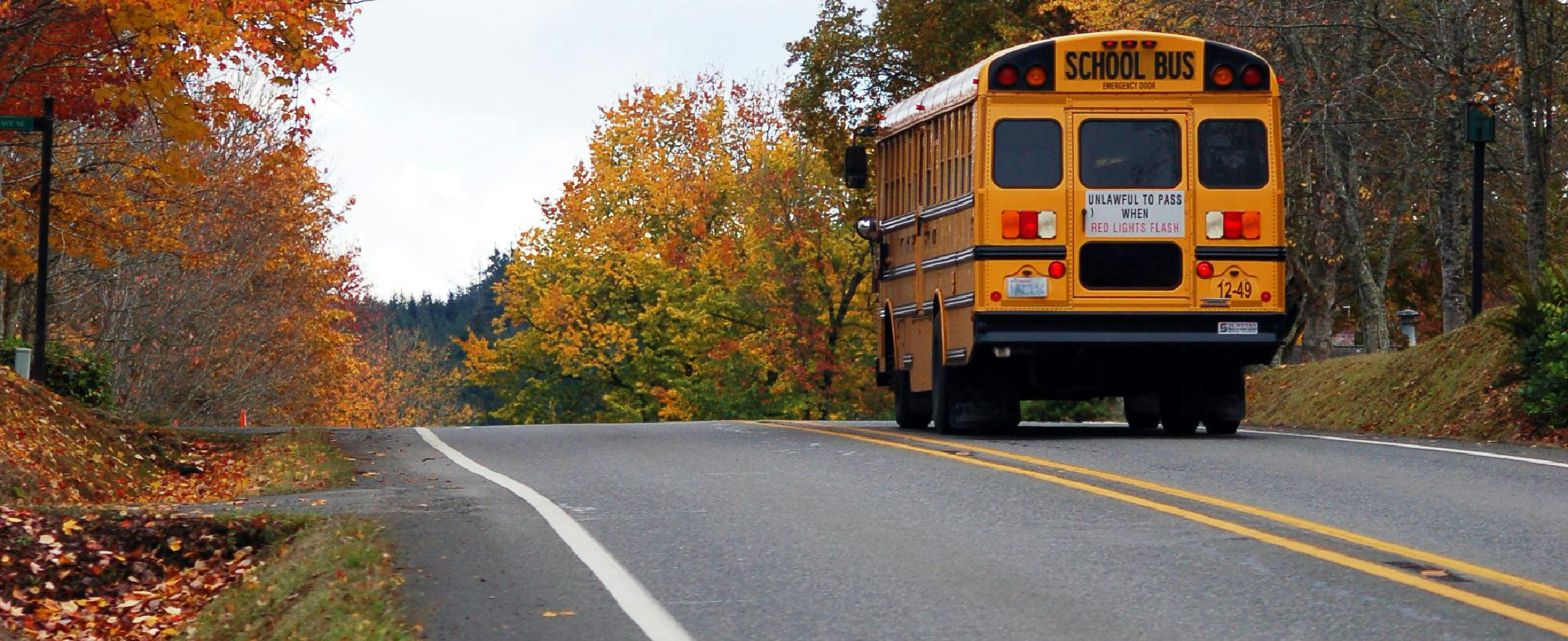 900-fcta78-header Fraser Cascade Teachers Association, School District 78, BCTF